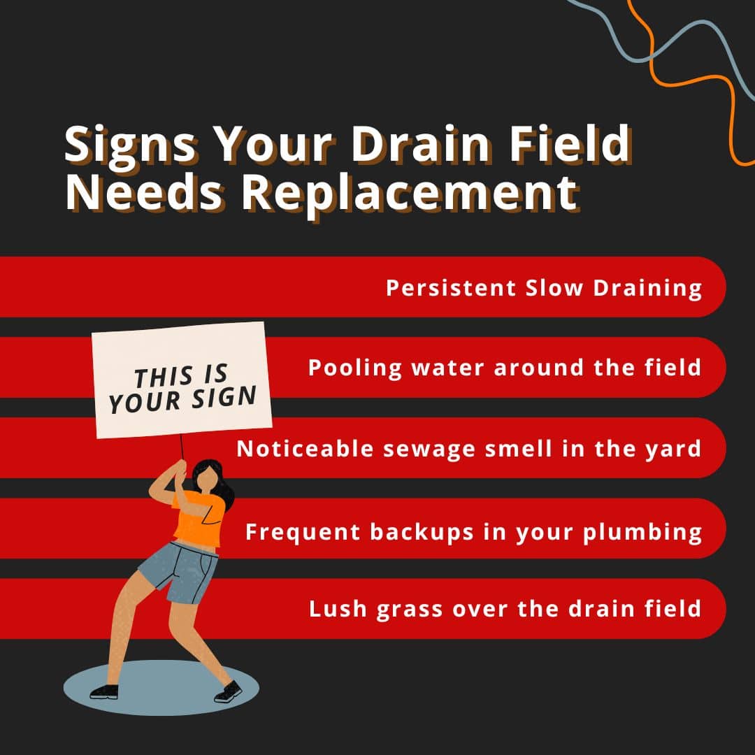 when you need drain field replacement