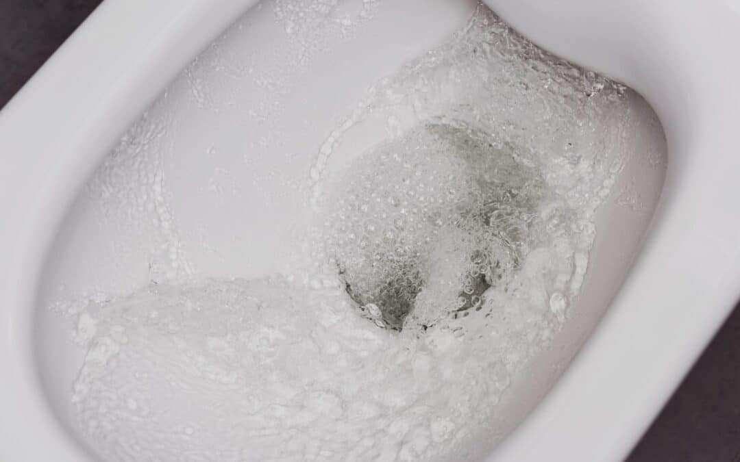Why Might the Toilet Start Bubbling With a Septic System?