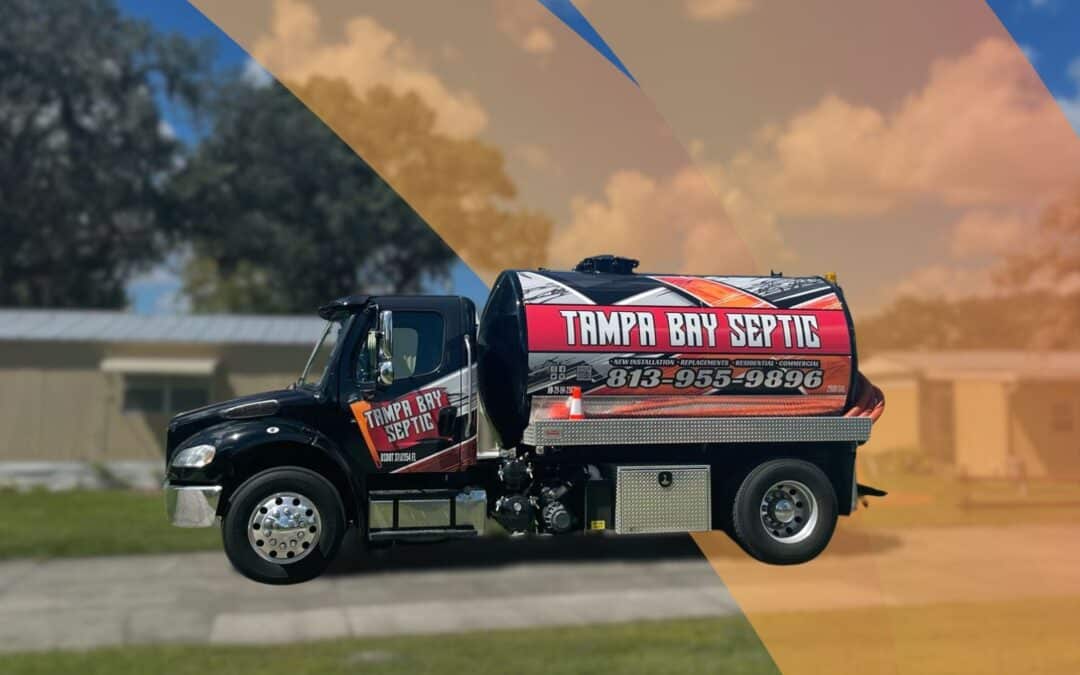 What Does a Septic Tank Look Like? Above and Below Ground