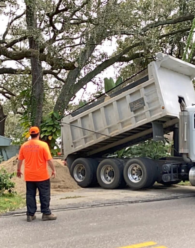 fe9ef428 876f 447c aa1d 160af24044cb