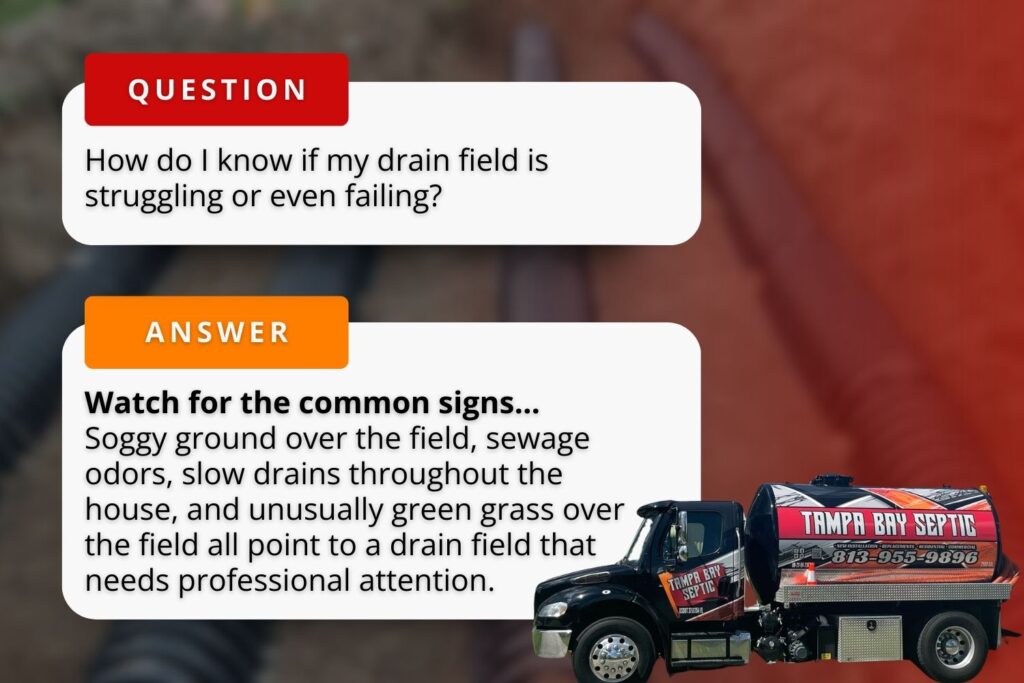 septic drain field pipe failure signs