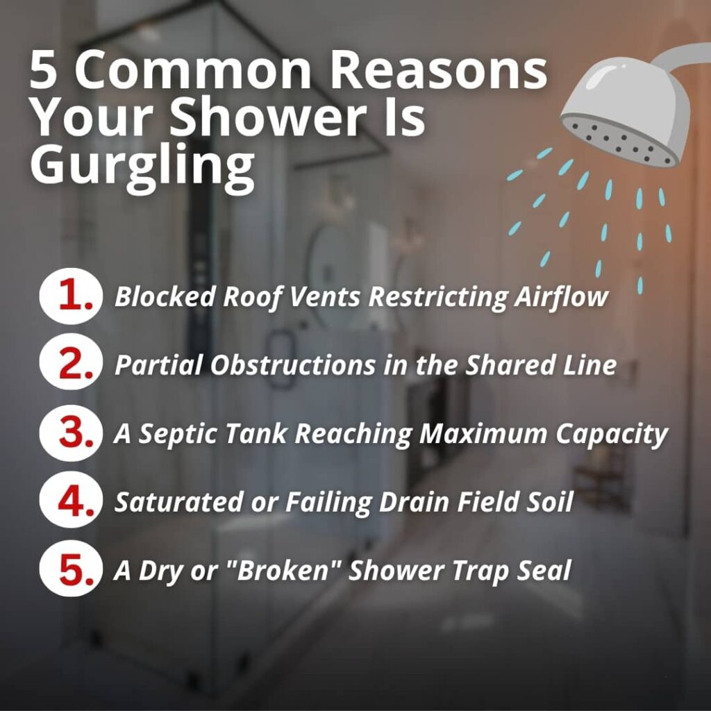 An infographic titled "5 Common Reasons Your Shower Is Gurgling" that lists blocked roof vents, line obstructions, a full septic tank, drain field failure, and dry shower traps.