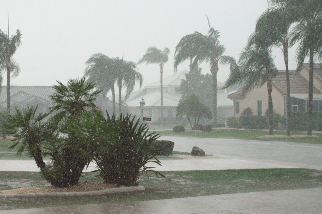 A heavy tropical downpour drenching a Florida residential street with palm trees swaying in the wind.