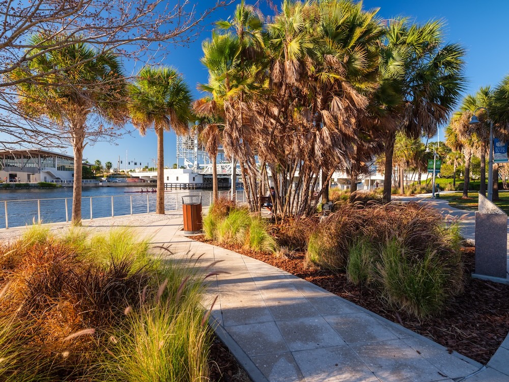 A paved walkway winds through a sunny waterfront park lined with palm trees and ornamental grasses, with a river and a bridge visible in the background under a clear blue sky.