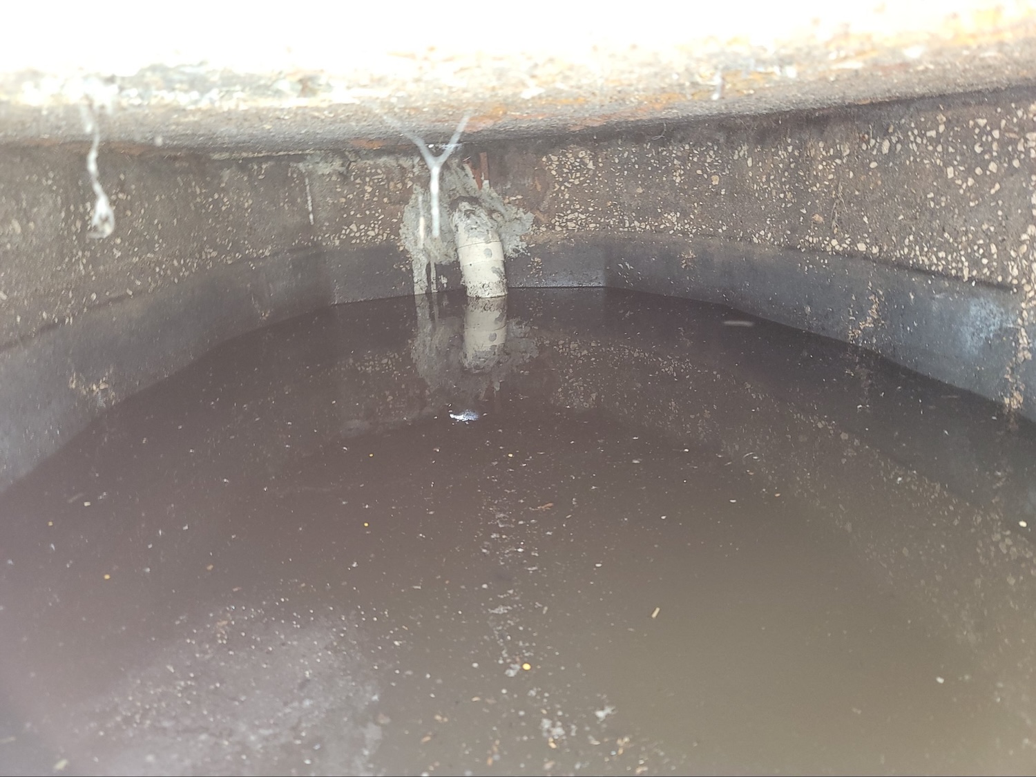 An interior view of a concrete septic tank filled with murky wastewater, with a white PVC pipe extending into the liquid.