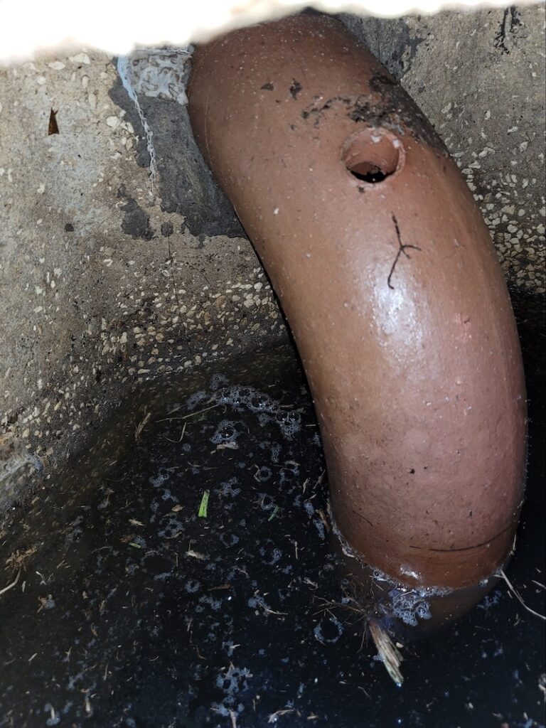A top-down view inside an open septic tank riser filled with murky wastewater during a routine pump-out service.